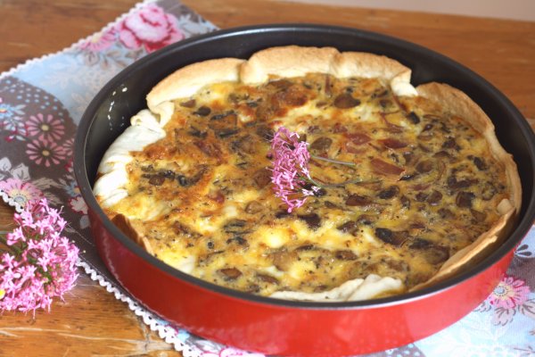 Мега кракен блэк спрут