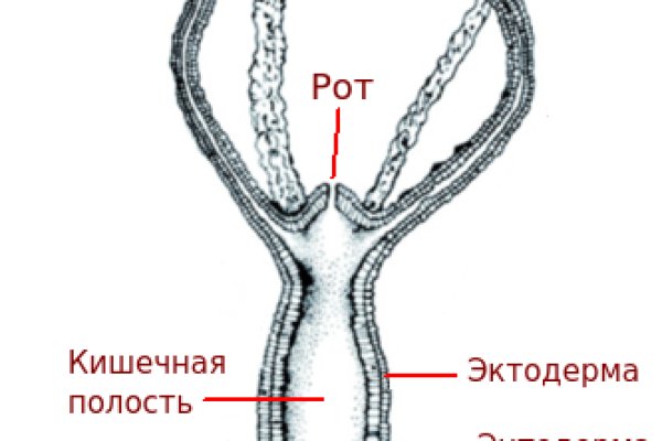 Kraken ссылки актуальные 2025 г